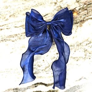 Curly Girl Shimmer Hair Bow Barrette Accessory